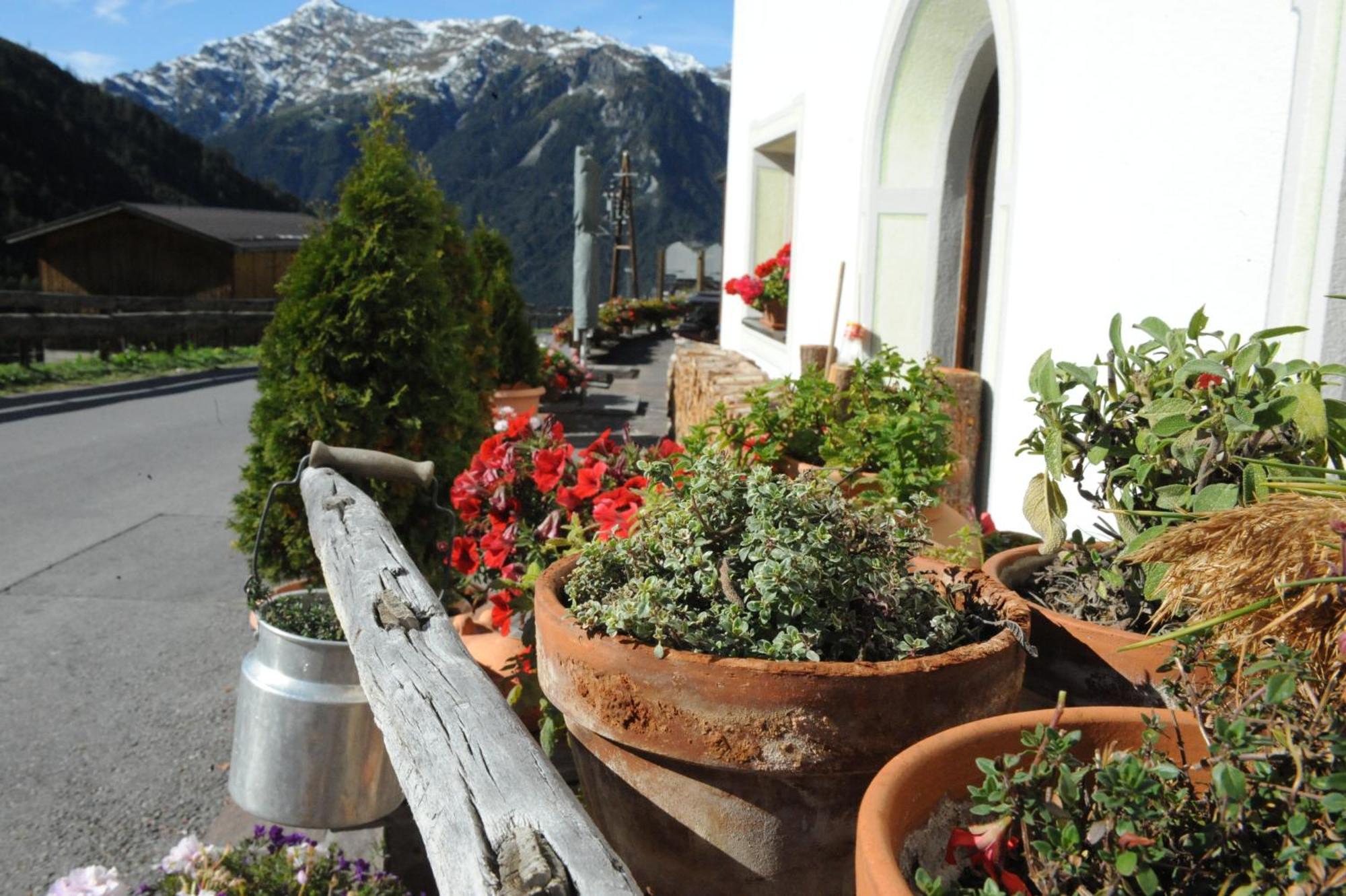 Naturhotel Berghof Pfunds Kültér fotó